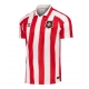 Maillot de foot Sunderland Domicile vêtements 2026-27 Manches Courtes